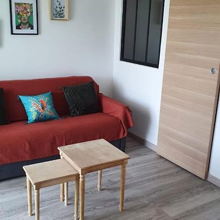 Tropical - Appt Climatise - Proche Plage - Aquarium - Parking - Wifi 카네트 외부 사진